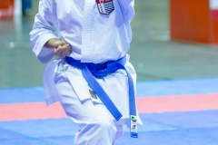 AdJ_Karate-Into-The-Olympics_00887