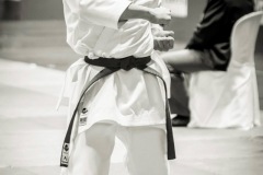 AdJ_Karate-Into-The-Olympics_00910