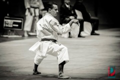 AdJ_Karate-Into-The-Olympics_00911