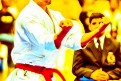 AdJ_Karate-Into-The-Olympics_00912