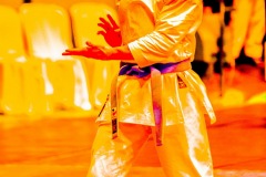 AdJ_Karate-Into-The-Olympics_00934