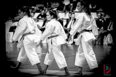 AdJ_Karate-Into-The-Olympics_00942