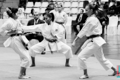 AdJ_Karate-Into-The-Olympics_00949