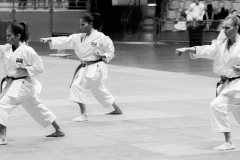 AdJ_Karate-Into-The-Olympics_00952