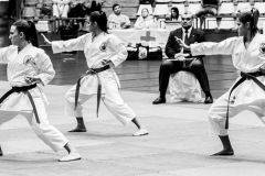 AdJ_Karate-Into-The-Olympics_00955