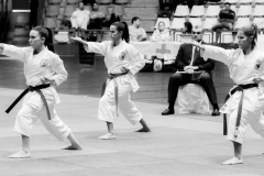 AdJ_Karate-Into-The-Olympics_00957