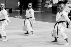 AdJ_Karate-Into-The-Olympics_00958