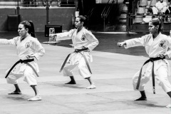 AdJ_Karate-Into-The-Olympics_00959