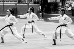 AdJ_Karate-Into-The-Olympics_00960