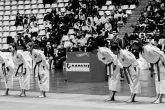 AdJ_Karate-Into-The-Olympics_00966