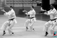 AdJ_Karate-Into-The-Olympics_00970