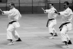 AdJ_Karate-Into-The-Olympics_00972