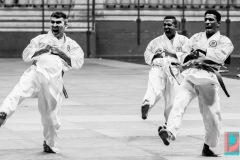 AdJ_Karate-Into-The-Olympics_00977