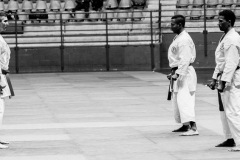 AdJ_Karate-Into-The-Olympics_00979