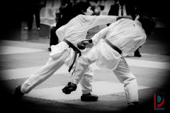 AdJ_Karate-Into-The-Olympics_00983