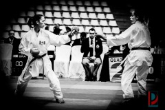 AdJ_Karate-Into-The-Olympics_00986