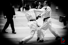 AdJ_Karate-Into-The-Olympics_00997