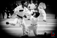 AdJ_Karate-Into-The-Olympics_00999