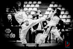 AdJ_Karate-Into-The-Olympics_01004