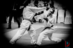 AdJ_Karate-Into-The-Olympics_01006