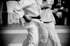 AdJ_Karate-Into-The-Olympics_01014