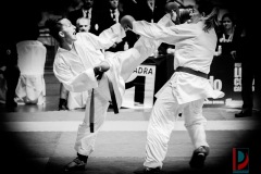 AdJ_Karate-Into-The-Olympics_01015