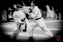AdJ_Karate-Into-The-Olympics_01016