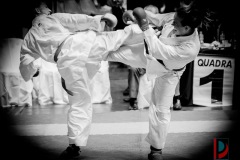 AdJ_Karate-Into-The-Olympics_01018