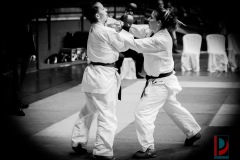 AdJ_Karate-Into-The-Olympics_01020