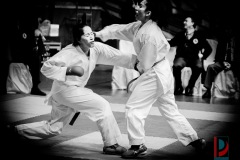 AdJ_Karate-Into-The-Olympics_01022