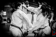 AdJ_Karate-Into-The-Olympics_01023