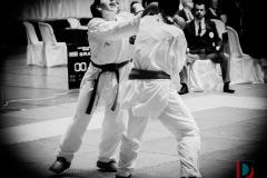 AdJ_Karate-Into-The-Olympics_01026