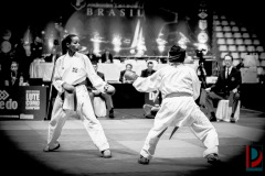 AdJ_Karate-Into-The-Olympics_01033