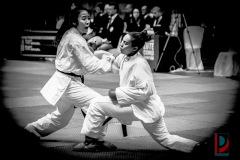 AdJ_Karate-Into-The-Olympics_01056