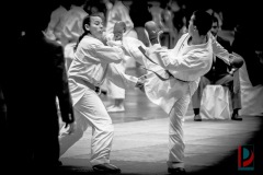 AdJ_Karate-Into-The-Olympics_01061