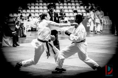 AdJ_Karate-Into-The-Olympics_01062