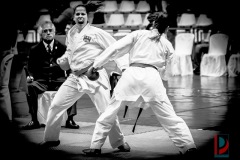 AdJ_Karate-Into-The-Olympics_01069