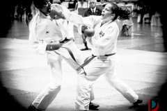 AdJ_Karate-Into-The-Olympics_01070