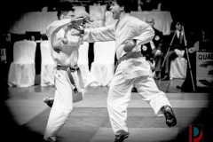 AdJ_Karate-Into-The-Olympics_01077