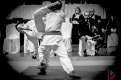 AdJ_Karate-Into-The-Olympics_01079