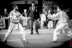 AdJ_Karate-Into-The-Olympics_01080