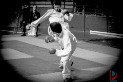 AdJ_Karate-Into-The-Olympics_01081