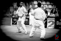 AdJ_Karate-Into-The-Olympics_01088