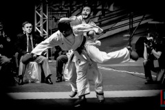 AdJ_Karate-Into-The-Olympics_01101