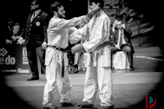 AdJ_Karate-Into-The-Olympics_01103