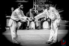 AdJ_Karate-Into-The-Olympics_01104
