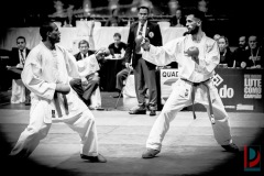 AdJ_Karate-Into-The-Olympics_01106