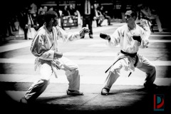 AdJ_Karate-Into-The-Olympics_01108