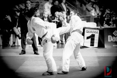 AdJ_Karate-Into-The-Olympics_01110