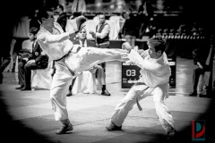 AdJ_Karate-Into-The-Olympics_01111